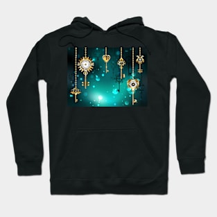 Antique Keys on Green Background ( Steampunk ) Hoodie